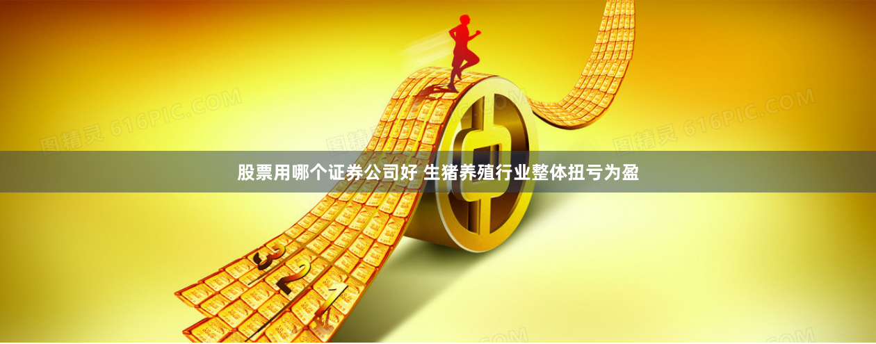 股票用哪个证券公司好 生猪养殖行业整体扭亏为盈