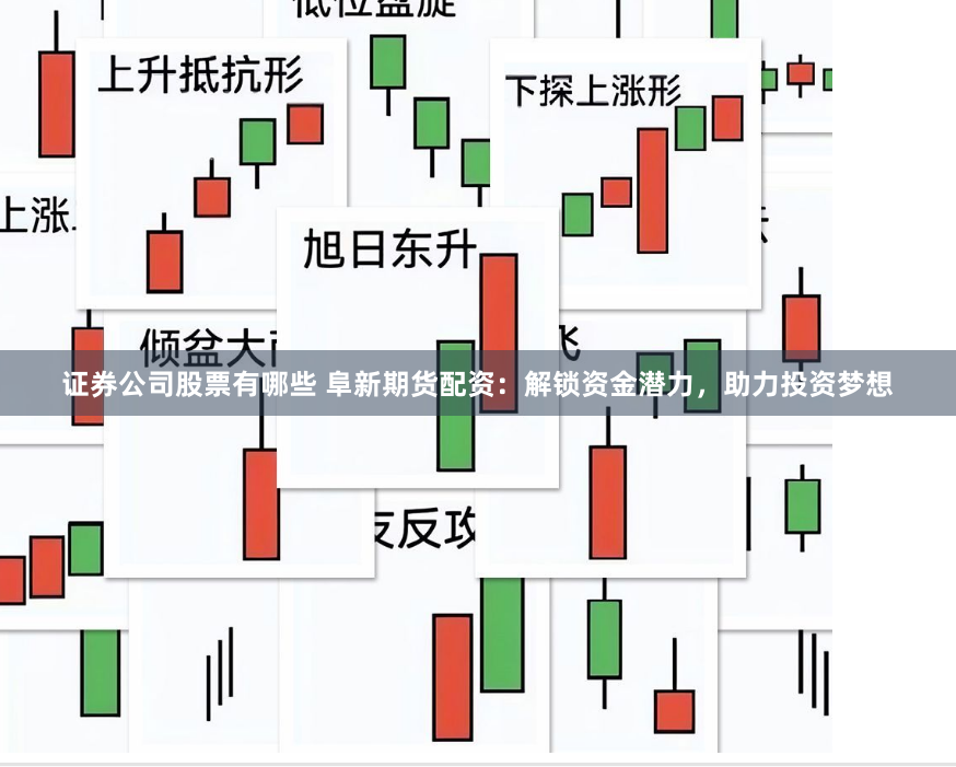 证券公司股票有哪些 阜新期货配资：解锁资金潜力，助力投资梦想