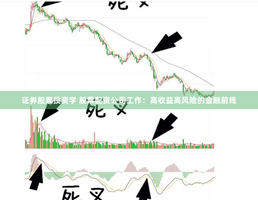 证券股票投资学 股票配资公司工作：高收益高风险的金融前线
