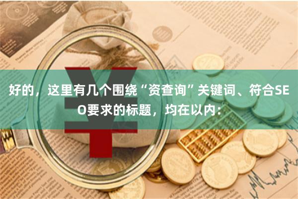 好的，这里有几个围绕“资查询”关键词、符合SEO要求的标题，均在以内：